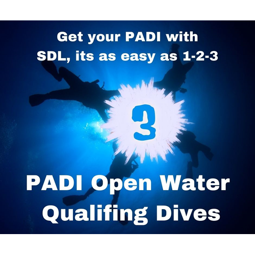 3 - PADI Open Water Qualifing Dives